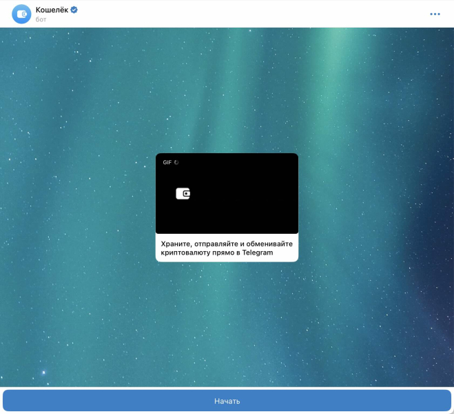 Как настроить криптокошелёк в Телеграм: детальная пошаговая инструкция